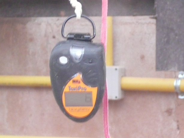 ค่าแอมโมเนียที่วัดได้เมื่อระบบเข้าสมดุล